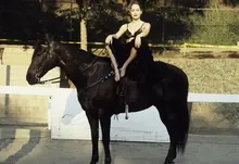 brunettes women horses sharon stone black dress 3723x3000 wallpaper Art HD Wallpaper